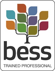 Energy Principles - BESS Trained Professional